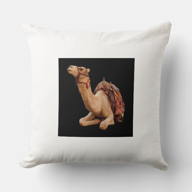 Kussens en handschoenen (Voorkant)