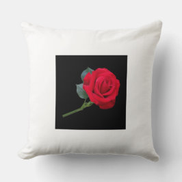 Kussens en handschoenen