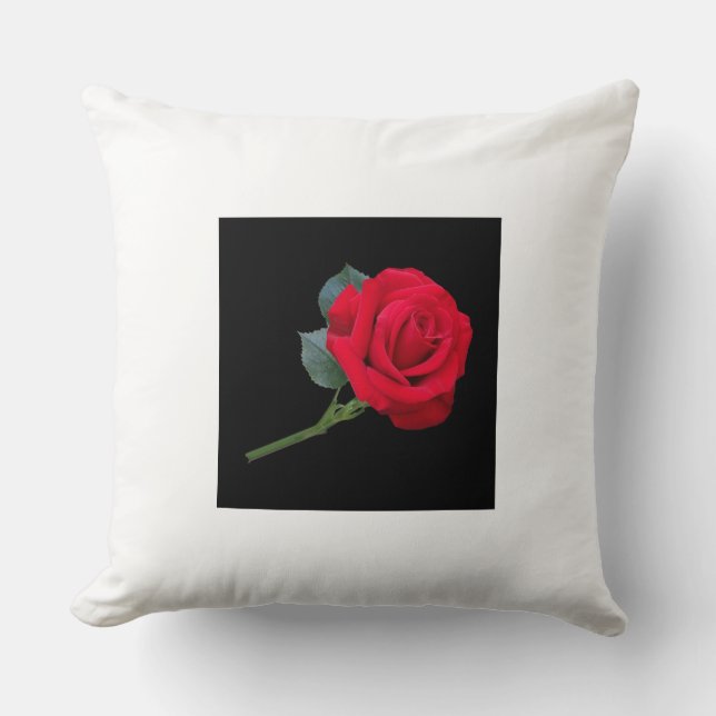 Kussens en handschoenen (Voorkant)