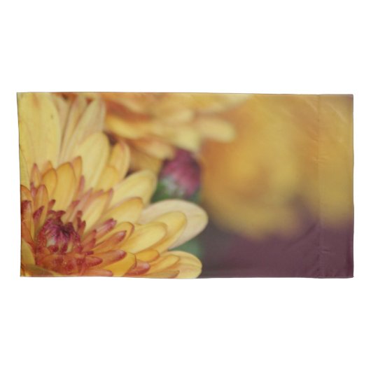 Kussens Kussensloop (Achterkant-Rechts)