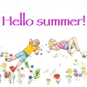 kussens met een slapende rode kat in een dekstoel