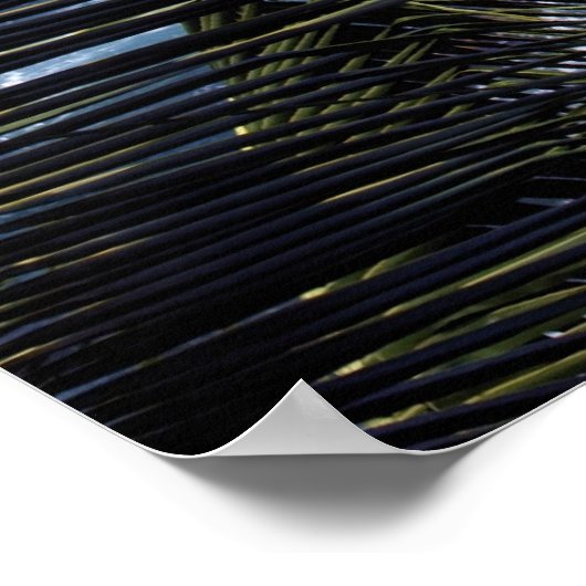 Kust 2 Kona Poster (Hoek)