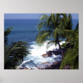 Kust 2 Kona Poster (Voorkant)