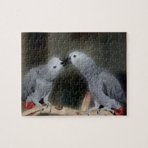 Kust African Gray Parrots Cute Bird Legpuzzel