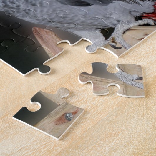 Kust African Gray Parrots Cute Bird Legpuzzel (Zijkant)