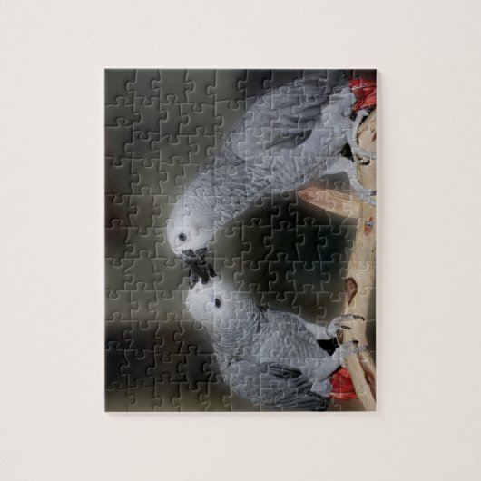 Kust African Gray Parrots Cute Bird Legpuzzel (Verticaal)