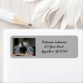 Kust African Grey Parrots Cute Bird Address Etiket (Insitu)