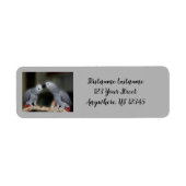 Kust African Grey Parrots Cute Bird Address Etiket (Voorkant)