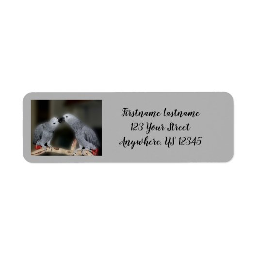 Kust African Grey Parrots Cute Bird Address Etiket (Voorkant)