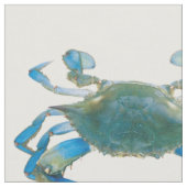 Kust Blauwe Krab Stof (Close Up)