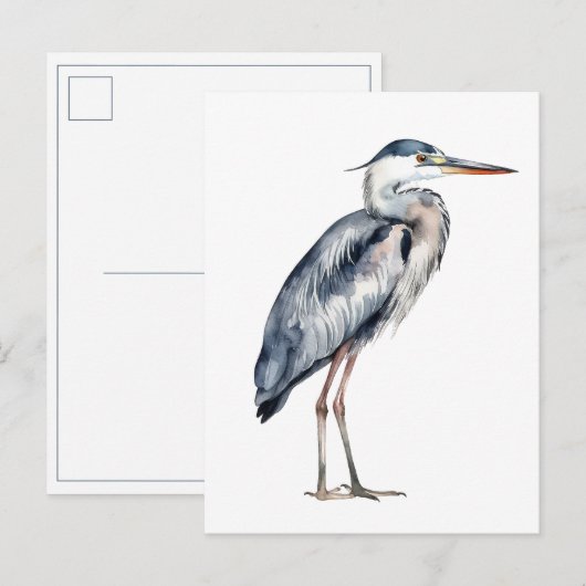 Kust Blauwe Reiger Vogel Briefkaart (Voorkant / Achterkant)
