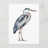 Kust Blauwe Reiger Vogel Briefkaart (Voorkant)