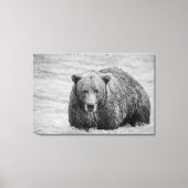 Kust Bruin Beer Zwart-wit Wildlife Canvas Afdruk (Voorkant)