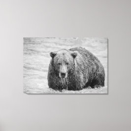 Kust Bruin Beer Zwart-wit Wildlife Canvas Afdruk