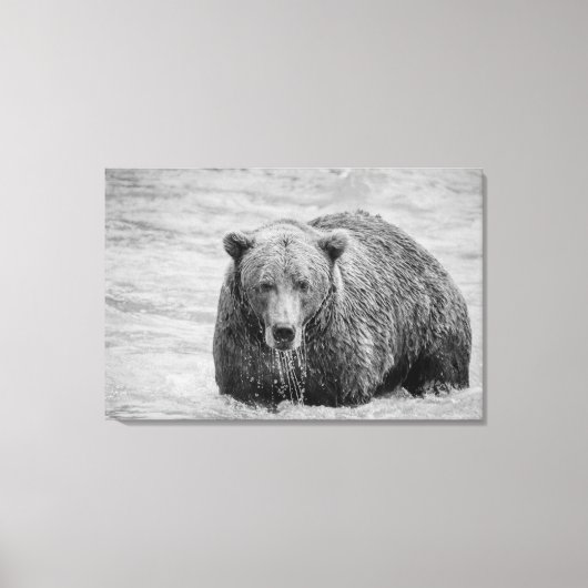 Kust Bruin Beer Zwart-wit Wildlife Canvas Afdruk (Voorkant)