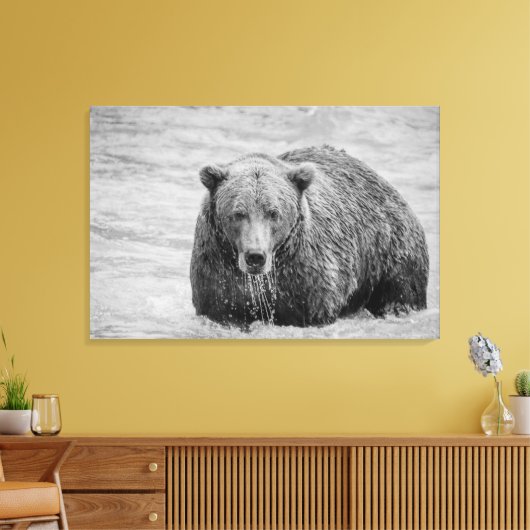Kust Bruin Beer Zwart-wit Wildlife Canvas Afdruk (Insitu (Woonkamer))