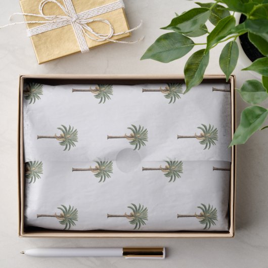 Kust chic koningspalm botanisch patroon tissuepapier (Geschenk)