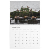 Kust Delaware Kalender 2025 (Jan 2027)