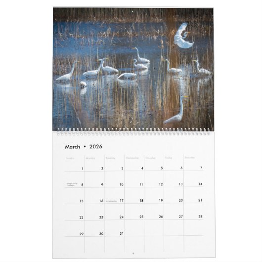 Kust Delaware Kalender 2025 (Mar 2026)