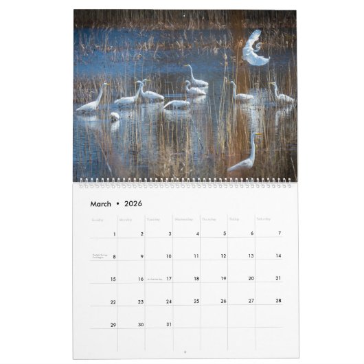 Kust Delaware Kalender 2025 (Mar 2026)