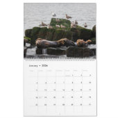 Kust Delaware Kalender 2025 (Jan 2026)