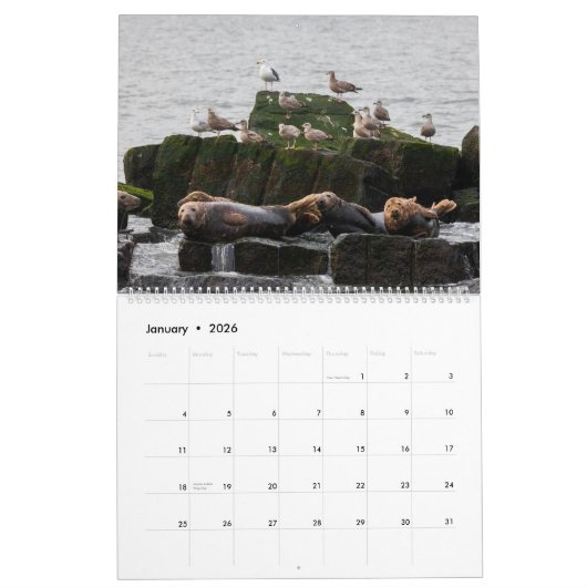 Kust Delaware Kalender 2025 (Jan 2026)