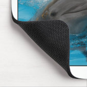 Kust Dolphins Muismat (Hoek)