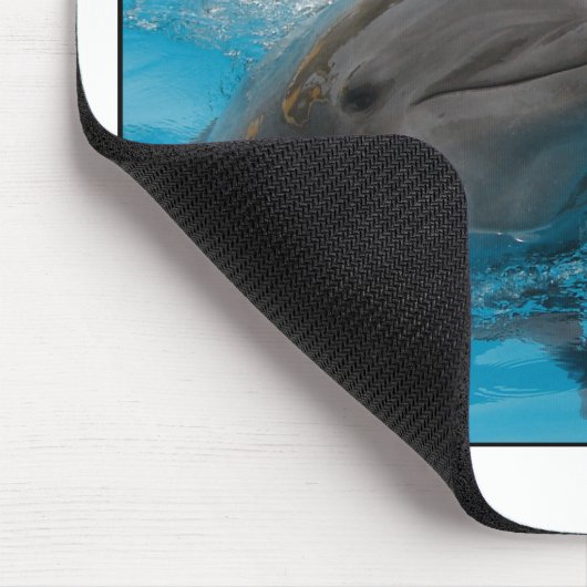 Kust Dolphins Muismat (Hoek)