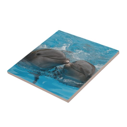 Kust Dolphins Tegeltje (Zijkant)