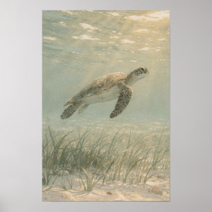 Kust- en Oceaan Kunstprint met Zeeschildpad Poster