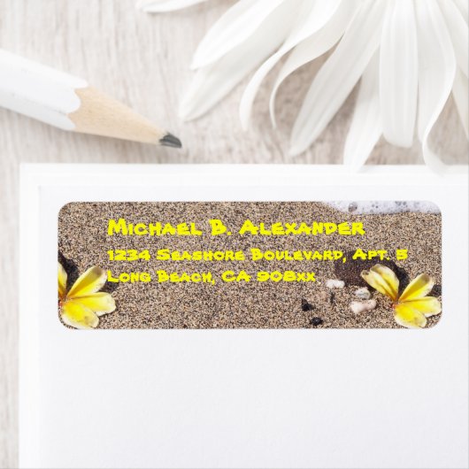 Kust en schelpen etiket (Insitu)