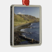 Kust in Duntulm, eiland Skye, Schotland, Verenigd  Metalen Ornament (Rechts)