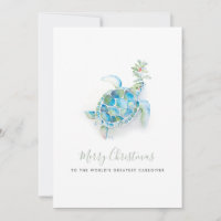 Kust Kerstmis Zeeschildpad Verzorger Kaart
