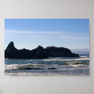 Kust op Seal Rock OR Poster