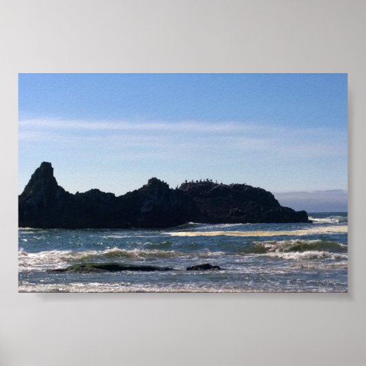 Kust op Seal Rock OR Poster (Voorkant)