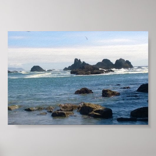 Kust op Seal Rock OR Poster (Voorkant)