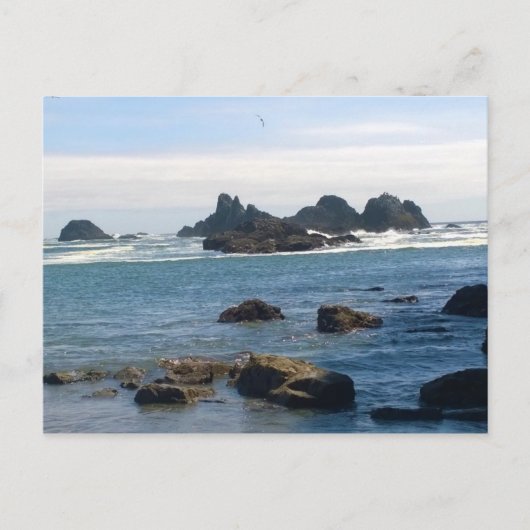 Kust op Seal Rock Oregon Briefkaart (Voorkant)