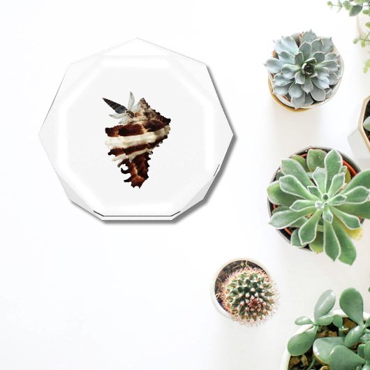 Kust paperweight vlinder bureau decor fotoblokken