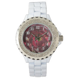 Kust Plant Foto Rode Bourgogne Succulent Horloge