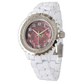 Kust Plant Foto Rode Bourgogne Succulent Horloge