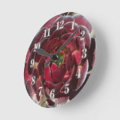 Kust Plant Foto Rode Bourgogne Succulent Ronde Klok (Hoek)