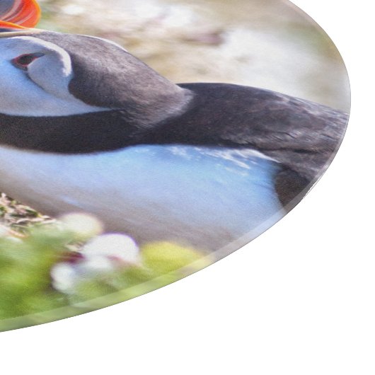 Kust Puffins Glass Cutting Board Snijplank (Hoek)