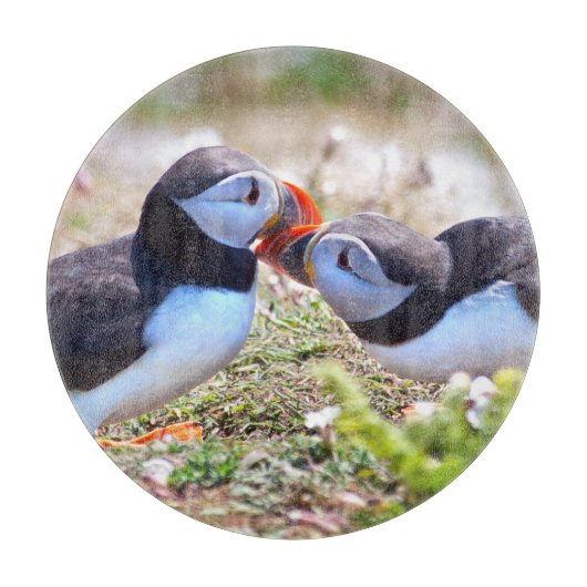 Kust Puffins Glass Cutting Board Snijplank (Voorkant)
