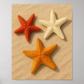 Kust Starfish Summer Beach Trendy Wall Art Poster (Voorkant)