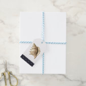 Kust/strand/nautische schelp cadeaulabel (Met Touw)