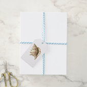 Kust/strand/nautische schelp cadeaulabel (Met Touw)