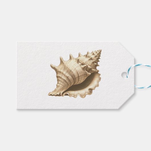 Kust/strand/nautische schelp cadeaulabel (Voorkant (Horizontaal))