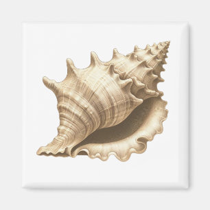 Kust/strand/nautische schelp magneet