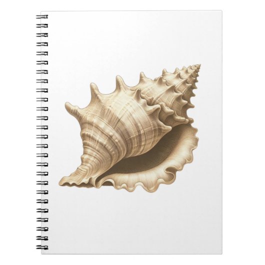 Kust/strand/nautische schelp notitieboek (Voorkant)