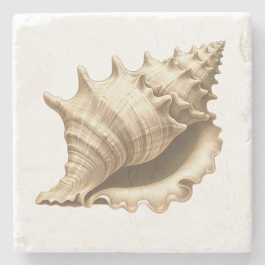 Kust/strand/nautische schelp stenen onderzetter (Voorkant)